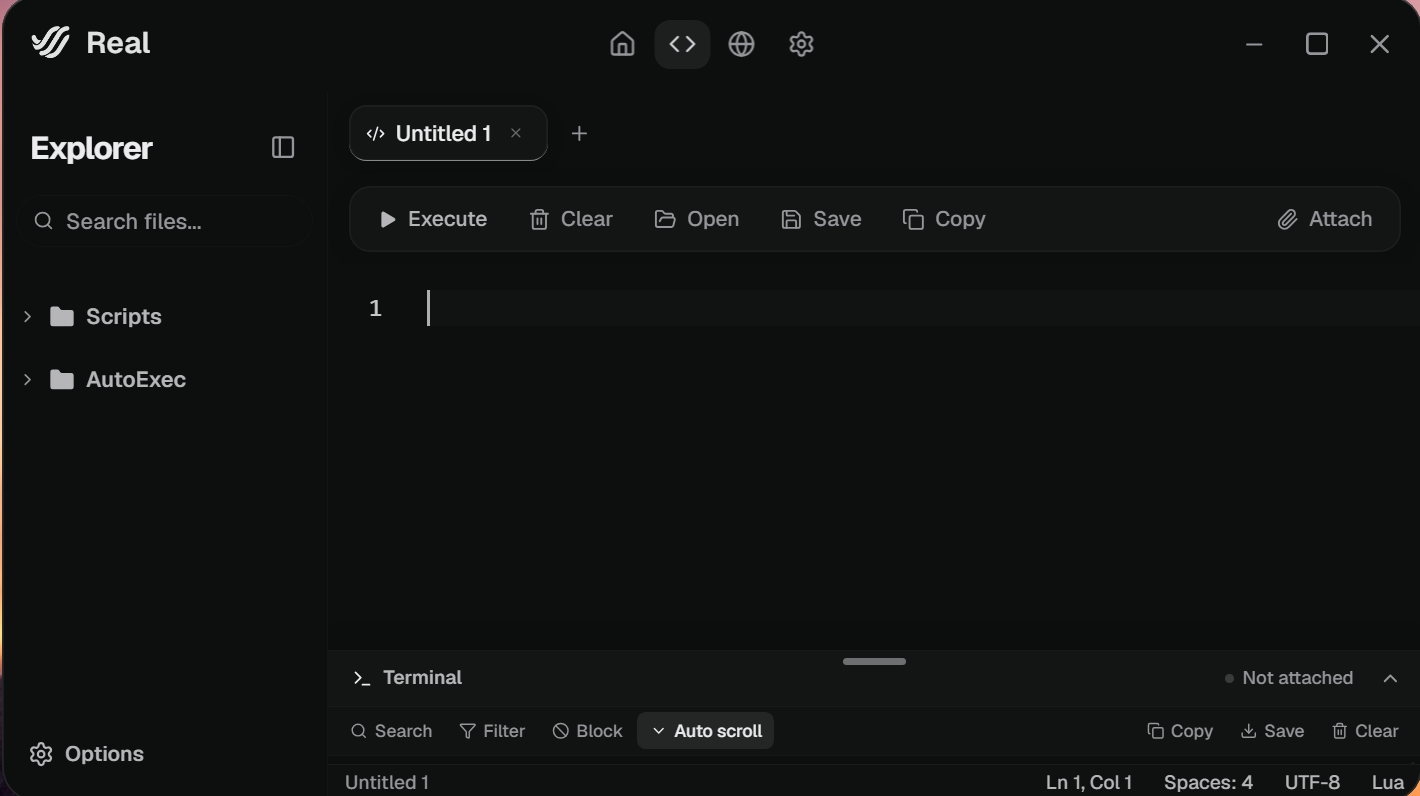 Real script editor with tabs and a terminal